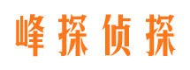 岭东资产调查